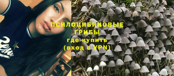 стафф Алзамай