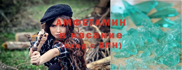 гидра Алексеевка