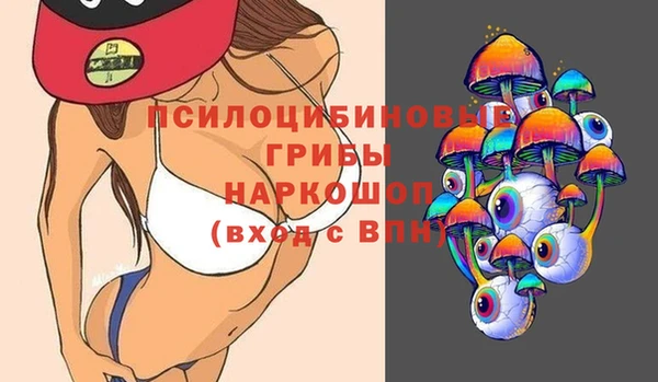 стафф Алзамай